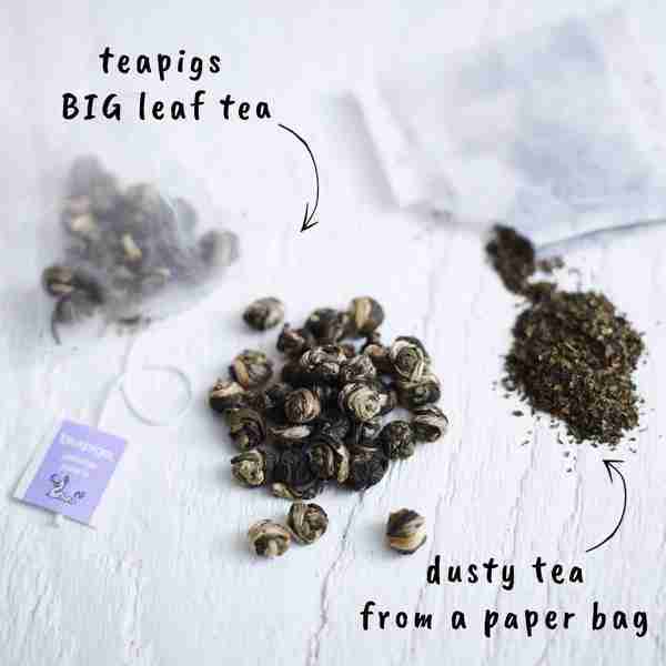 Jasmine Pearls Tea Where Bluebirds Fly